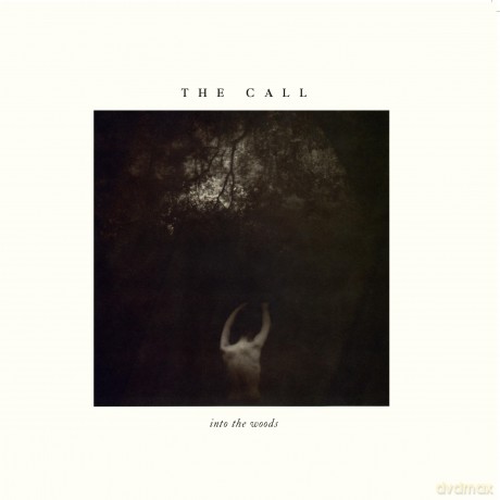The Call: Into The Woods (Limited Numbered) (White) [Winyl]