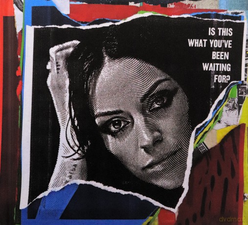 Amy Macdonald: Is This What You've Been Waiting For (Deluxe) [CD]