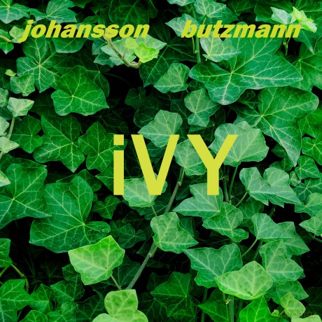 Frieder Butzmann: Ivy [Winyl]