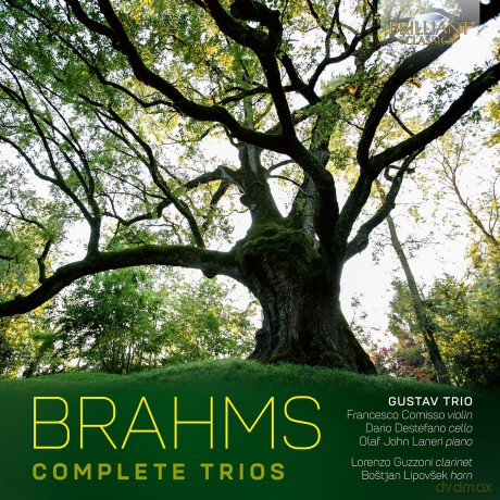 Johannes Brahms: Klaviertrios Nr.1-3 [2CD]