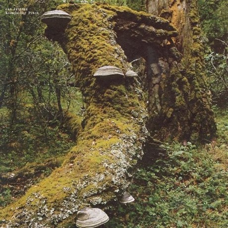 Jan Jelinek: Kosmischer Pitch (Reissue) [Winyl]