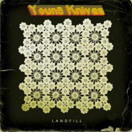 Young Knives: Landfill (Recycled Colored Ecomix) [Winyl]