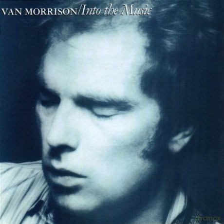 Van Morrison: Into The Music [CD]