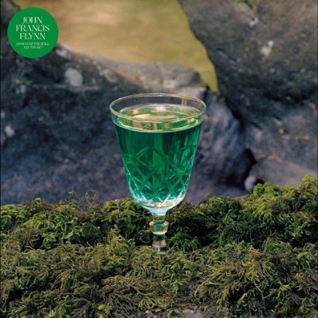 John Francis Flynn: Look Over The Wall, See The Sky [Winyl]