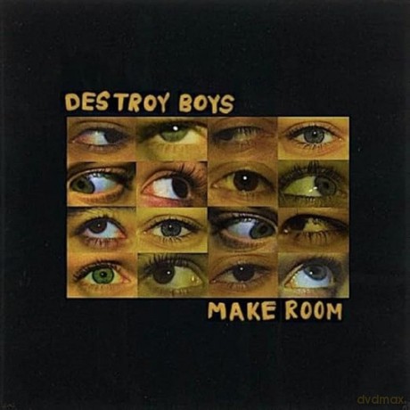Destroy Boys: Make Room (Reissue) [Winyl]