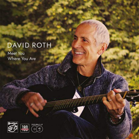 David Roth: Meet You Where You Are [Winyl]