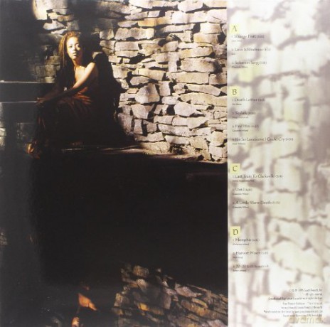 Cassandra Wilson: New Moon Daughter [2xWinyl]