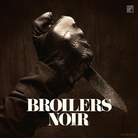 Broilers: Noir [Winyl]