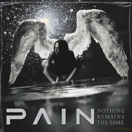 Pain: Nothing Remains The Same (remastered) (Limited) (Silver) [Winyl]
