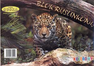 Blok Rysunkowy A4 Kolorowy