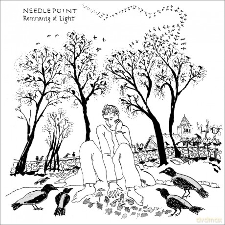 Needlepoint: Remnants Of Light [CD]