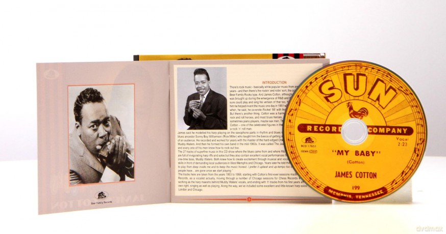 James Cotton: Rocks [CD]