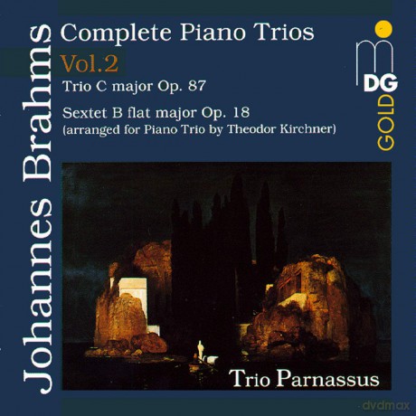 Johannes Brahms: Saemtliche Klaviertrios Vol.2 [CD]