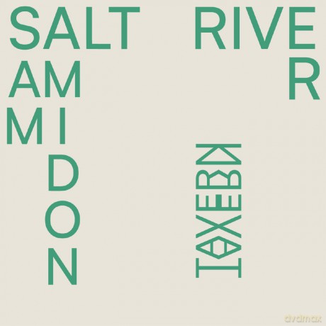 Sam Amidon: Salt River [CD]