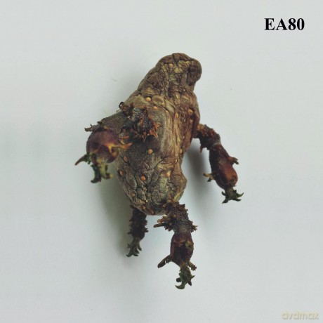 EA80: Single [Winyl]