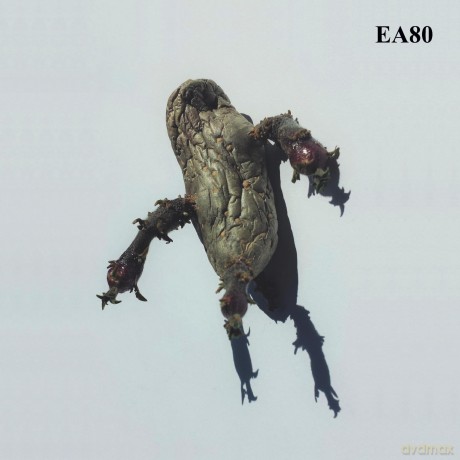 EA80: Single [Winyl]