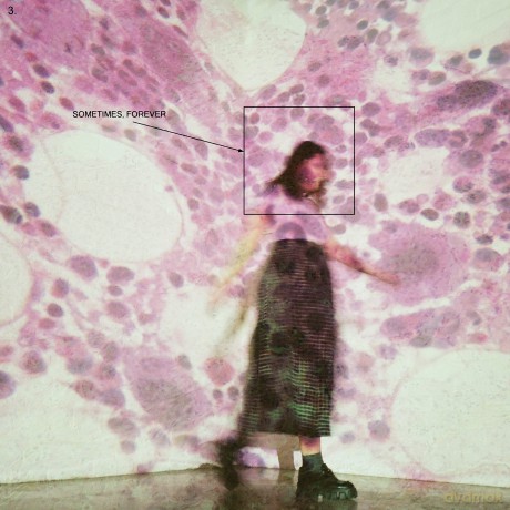 Soccer Mommy: Sometimes, Forever (Limited) (Pink) [Winyl]