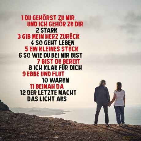 Wolfgang Petry: Stark wie wir [CD]