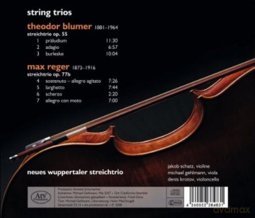 Theodor Blumer: Streichtrio op.55 [CD]