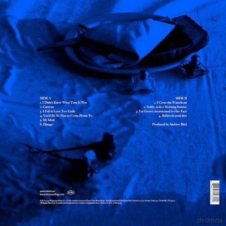 Andrew Bird: Sunday Morning Put-On [Winyl]