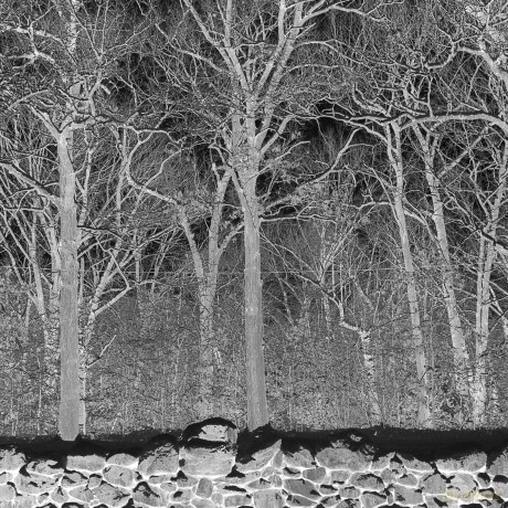Pile: Sunshine And Balance Beams [CD]