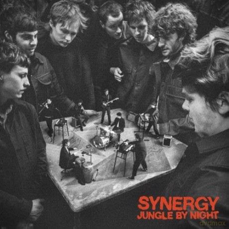 Jungle By Night: Synergy [2xWinyl]