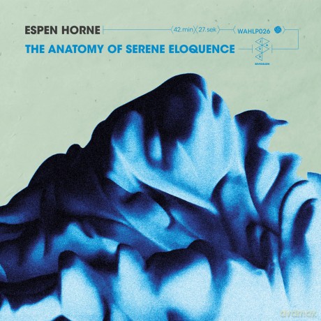 Espen Horne: The Anatomy Of Serene Eloquence [Winyl]