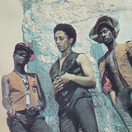 The Wailers: The Best Of The Wailers (Limited Collector's) (Pink) [Winyl]
