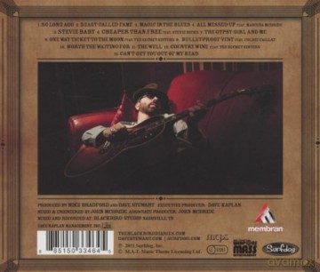 Dave Stewart: The Blackbird Diaries [CD]