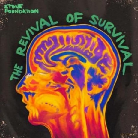 Stone Foundation: The Revival Of Survival [Winyl]