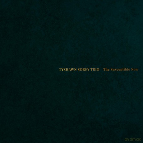 Tyshawn Sorey: The Susceptible Now [2xWinyl]