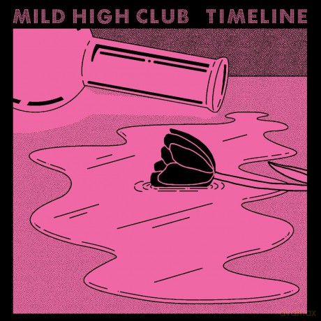 Mild High Club: Timeline [Winyl]