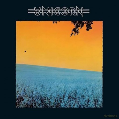 Ensemble Unicorn: Too Many Crooks [CD]