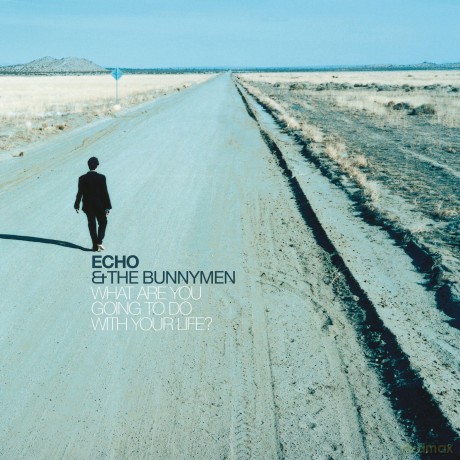 Echo & The Bunnymen: What Are You Going To Do With Your Life (Limited 25th Anniversary) (Clear) [Winyl]