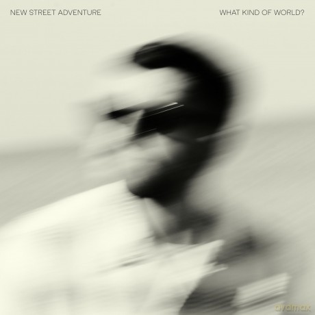 New Street Adventure: What Kind Of World [Winyl]