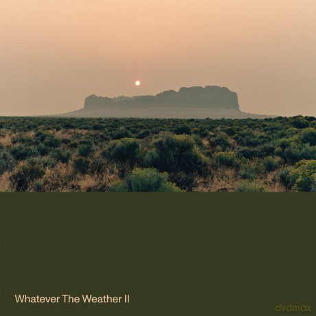 Whatever The Weather: Whatever The Weather II (Limited) (Dark Green) [Winyl]