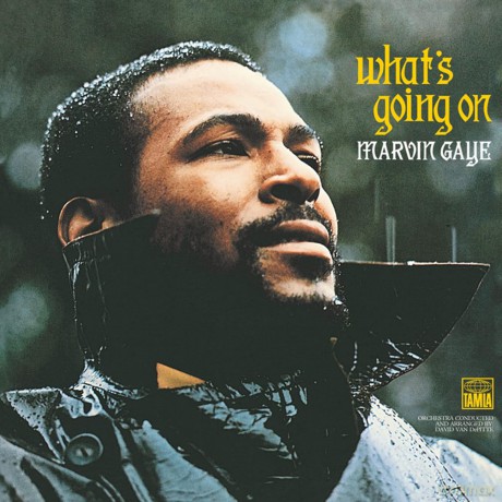 Marvin Gaye: What's Going On (Limited) (Evergreen) [Winyl]