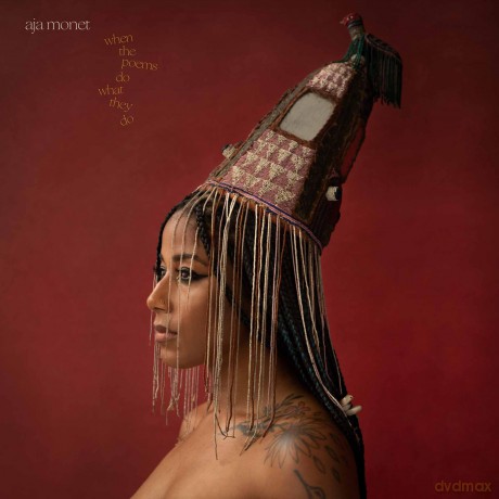 Aja Monet: When The Poems Do What They Do [2xWinyl]
