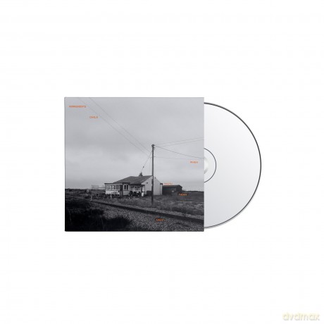Somebody's Child: When Youth Fades Away [CD]