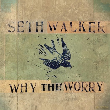 Seth Walker: Why The Worry [CD]