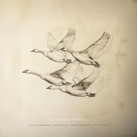 Near The Pond: Wild Geese [CD]