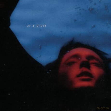 Troye Sivan: In A Dream (5th Anniversary) [Winyl]