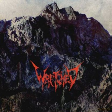 Wretched: Decay (Silver Black) [Winyl]