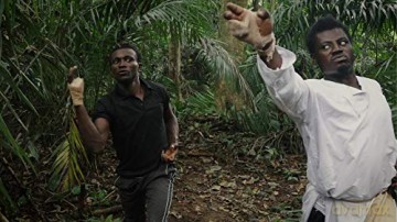 African Kung Fu Nazis [Blu-Ray]