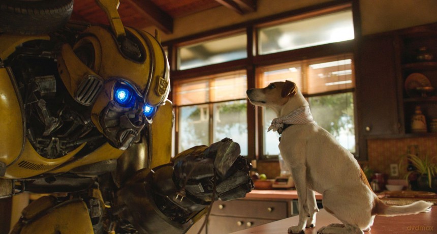 Bumblebee [Blu-Ray]