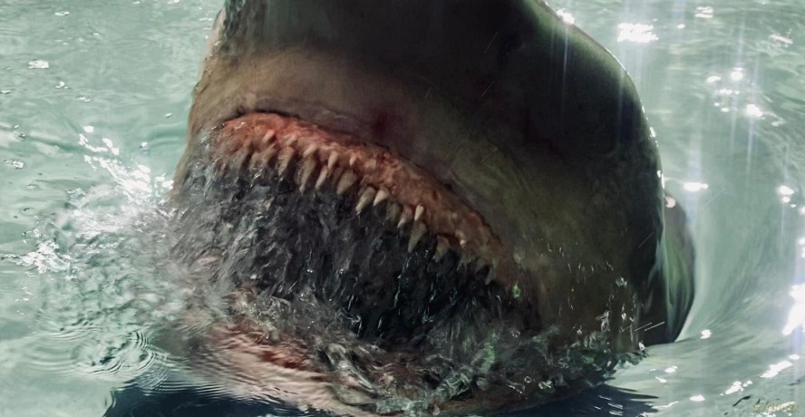 Fear Below [Blu-Ray]