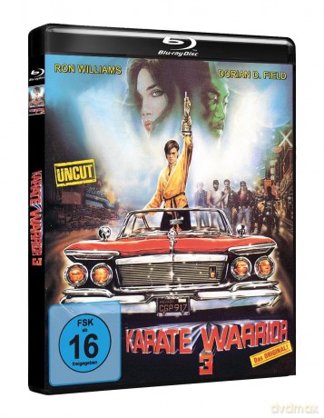 Karate Warrior 3 [Blu-Ray]