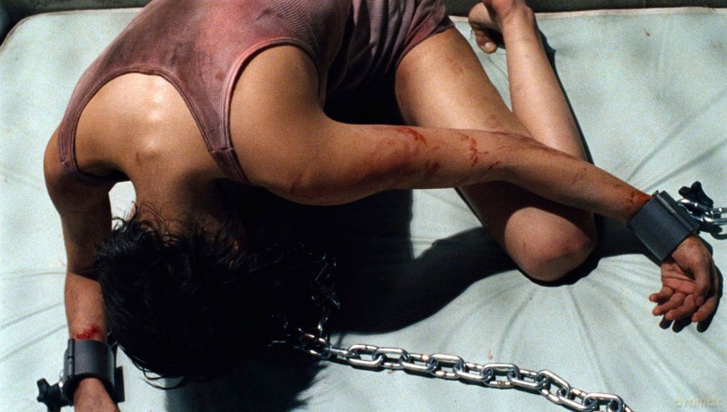 Martyrs (2008) [Blu-Ray]