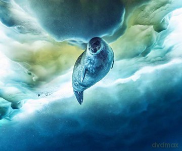 Sieben Kontinente - Ein Planet [Blu-Ray 4K]