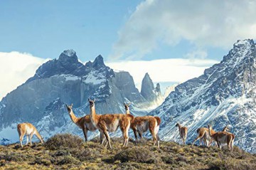 Sieben Kontinente - Ein Planet [Blu-Ray 4K]